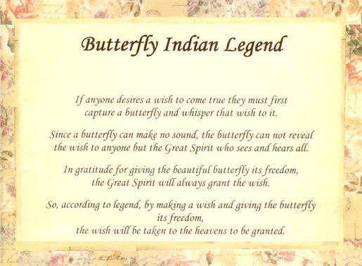 Butterfly Legend
